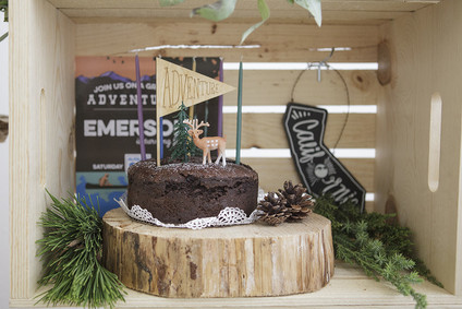 National Parks inspired birthday party ideas