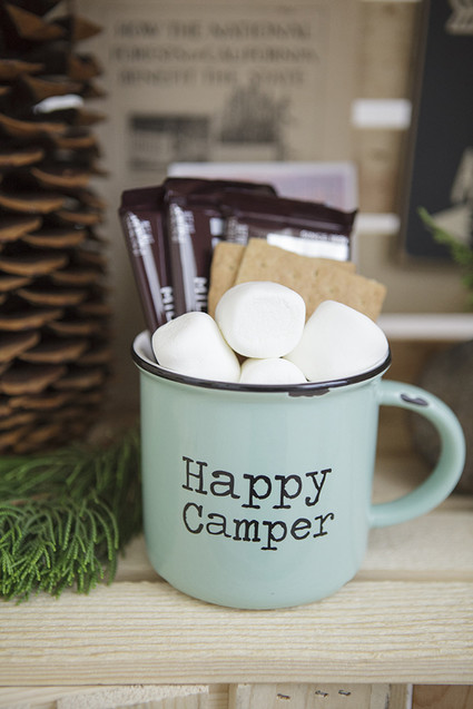 National Parks inspired birthday party ideas