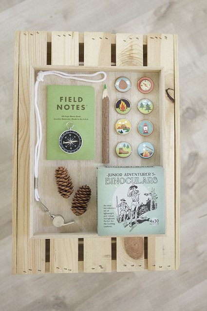 National Parks inspired birthday party ideas