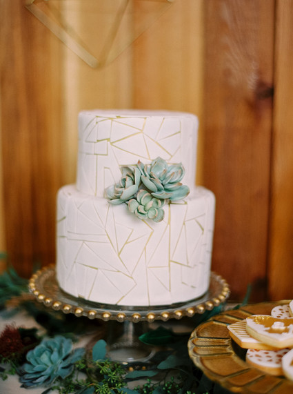 geometric succulent cake