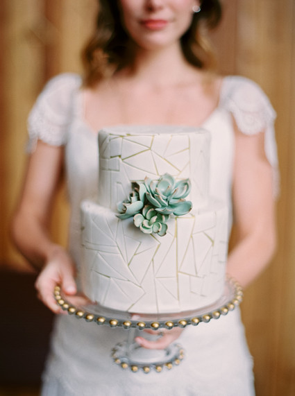 geometric succulent cake