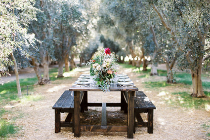 Olive grove wedding inspiration