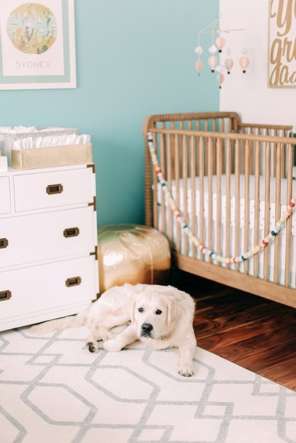 Travel themed girls nursery