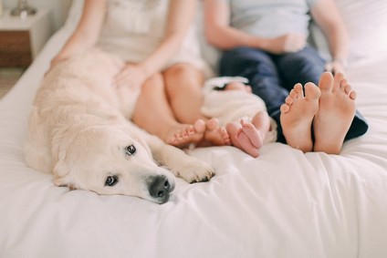 classic newborn photos with dog Inspiration