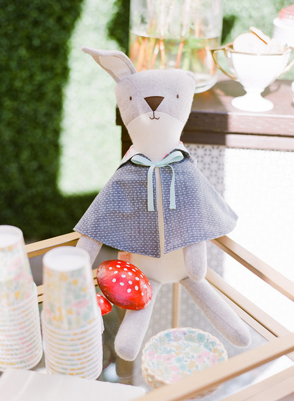 Walnut Animal Society book launch party Inspiration
