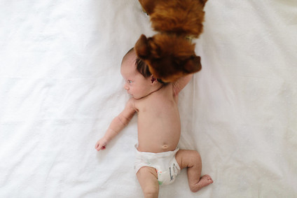 at home newborn photos