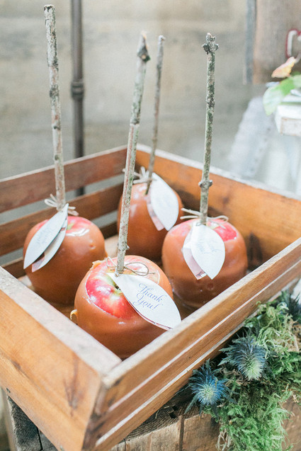 Candied apples
