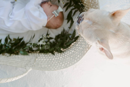 moses basket newborn photos