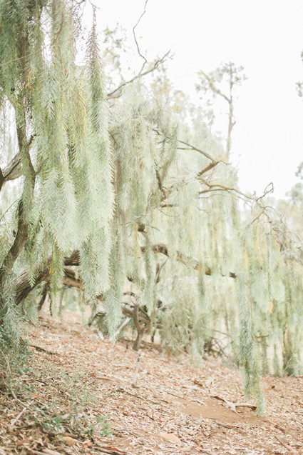 Fine art maternity photos