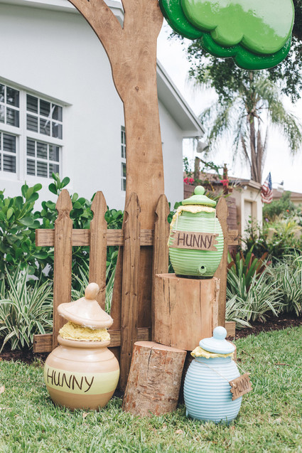 Winnie the Pooh 1st birthday party Inspiration