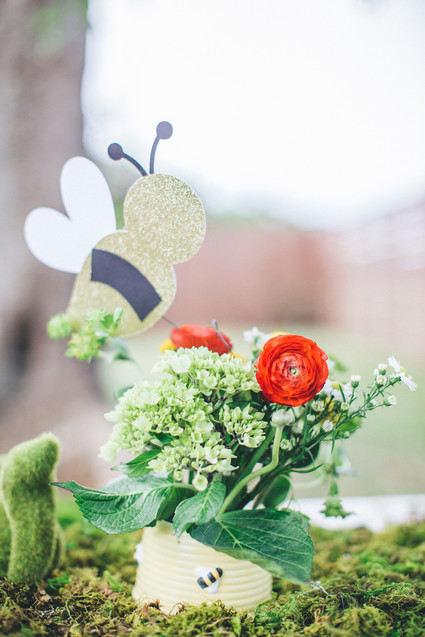 Winnie the Pooh 1st birthday party Inspiration