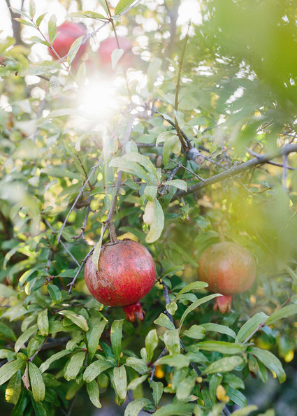 Kids FEED supper in Malibu