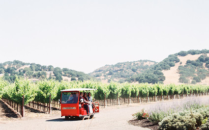 Vineyard wedding