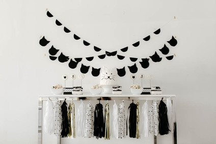 black and white kitty birthday Inspiration
