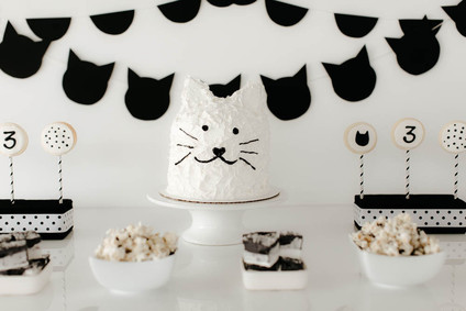black and white kitty birthday
