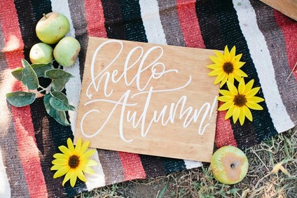 kids apple picking party