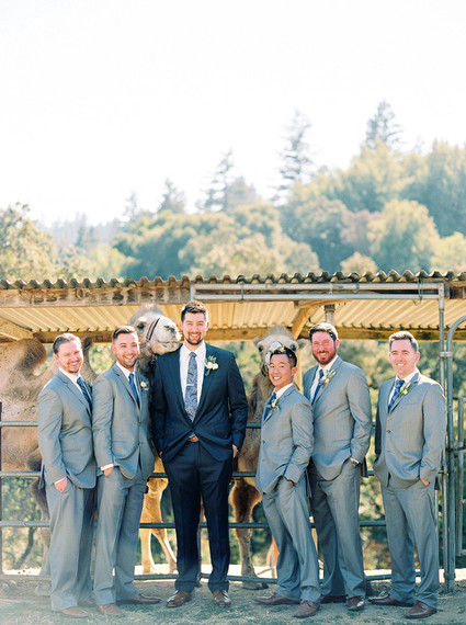 Romantic wedding at Camel Hill Vineyards