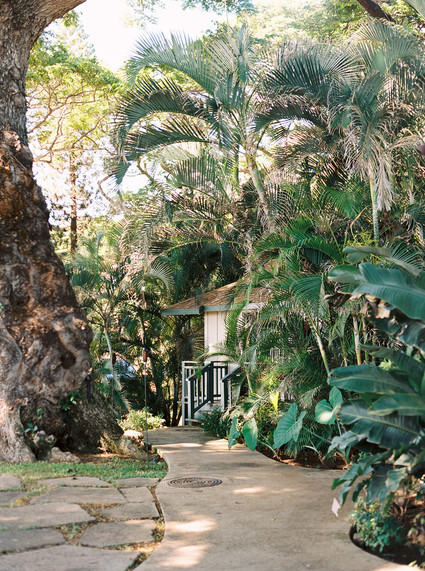 Maui wedding