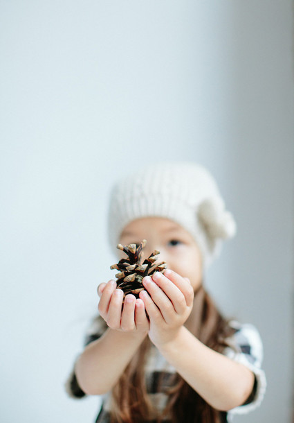 modern styled holiday photos