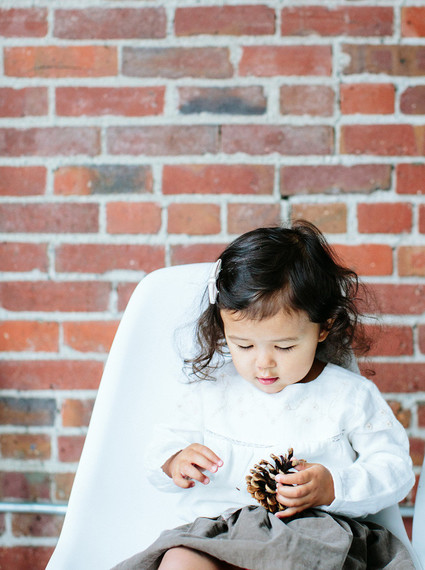 modern styled holiday photos