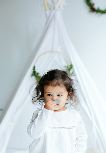 modern styled holiday photos