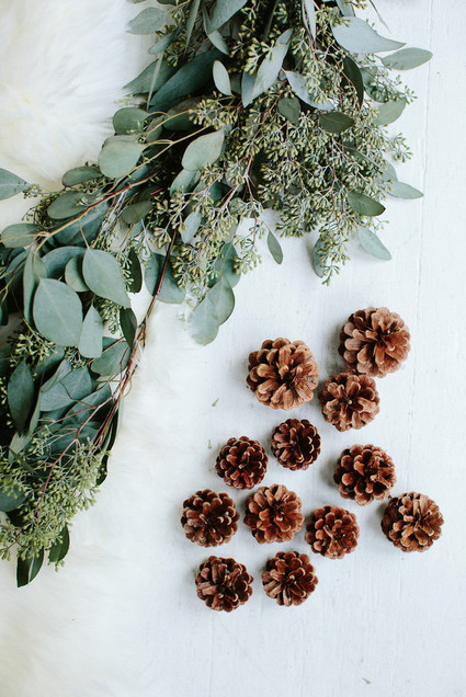 modern styled holiday photos