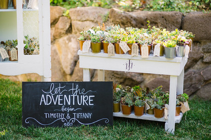 Plant wedding favor
