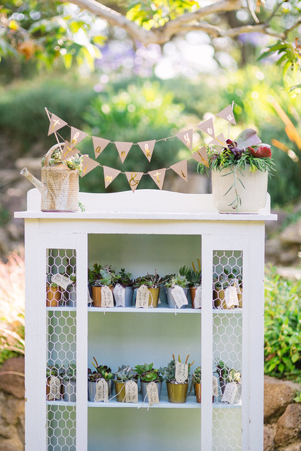 Plant wedding favor