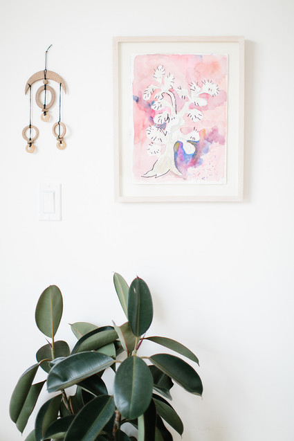 rubber plant