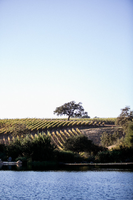 A day at a vineyard with Orbit stroller