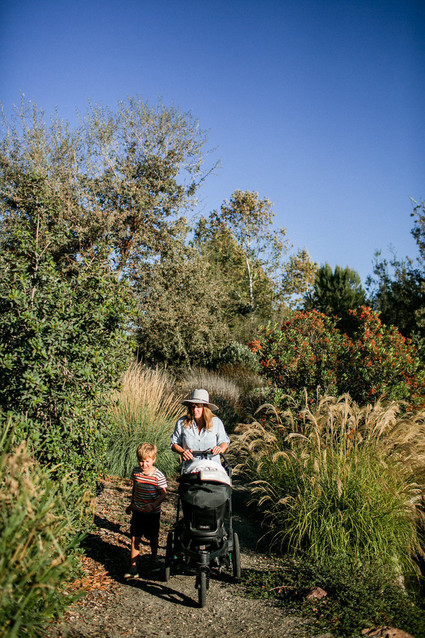 A day at a vineyard with Orbit stroller