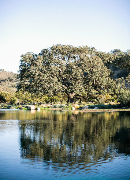 A day at a vineyard with Orbit stroller