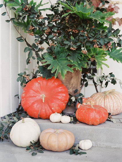 Modern halloween ideas