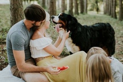 family picnic Inspiration
