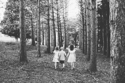 Forest family photos