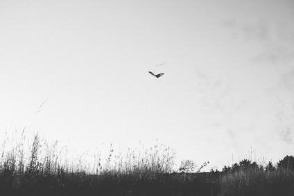summery family photos in Milwaukee