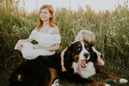 summery family photos in Milwaukee