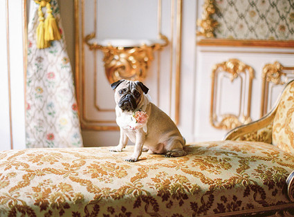 Elegant Marie Antoinette inspired wedding