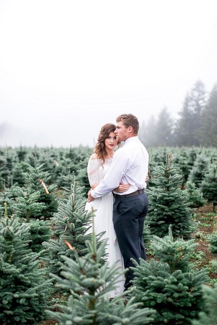 Christmas tree farm