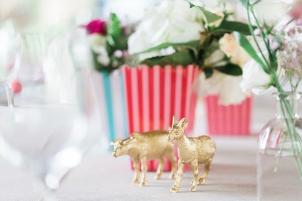 Elegant circus party ideas