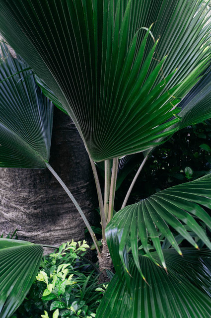 Elegant winter wedding in Zanzibar