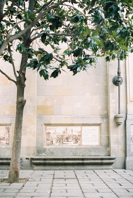 Barcelona family photos