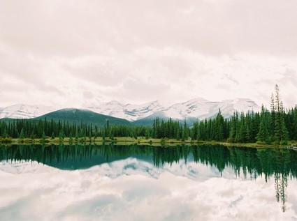 Calgary Mountain maternity photos