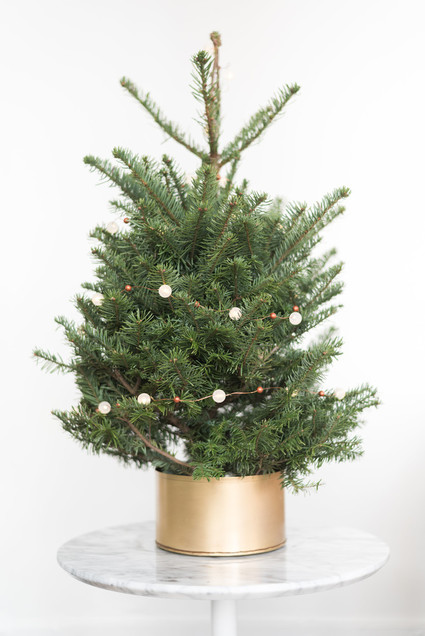 Mini christmas tree