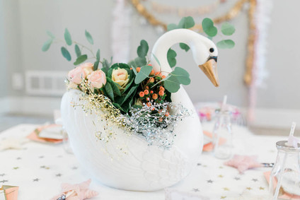 Swan Lake birthday party Inspiration