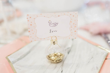 Swan Lake birthday party Inspiration