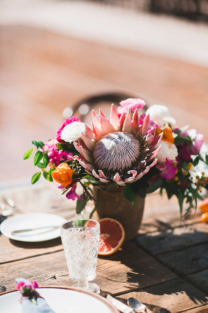 Protea flowers