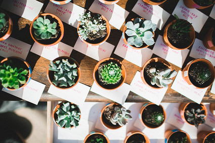 Succulent wedding favors