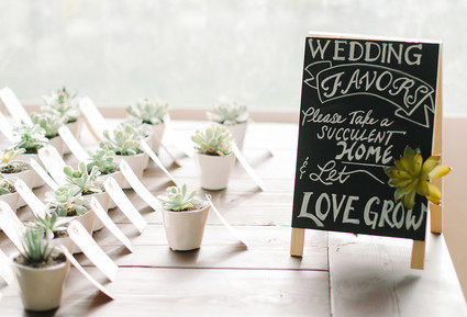 Succulent favors