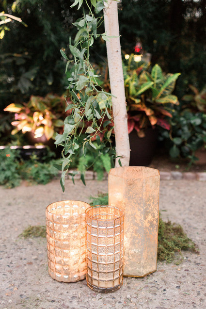 Romantic wedding at a Horticulture Center in Philadelphia